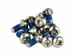 Sram – Rotor Bolte I Titanium – Silver – 12 Stk.